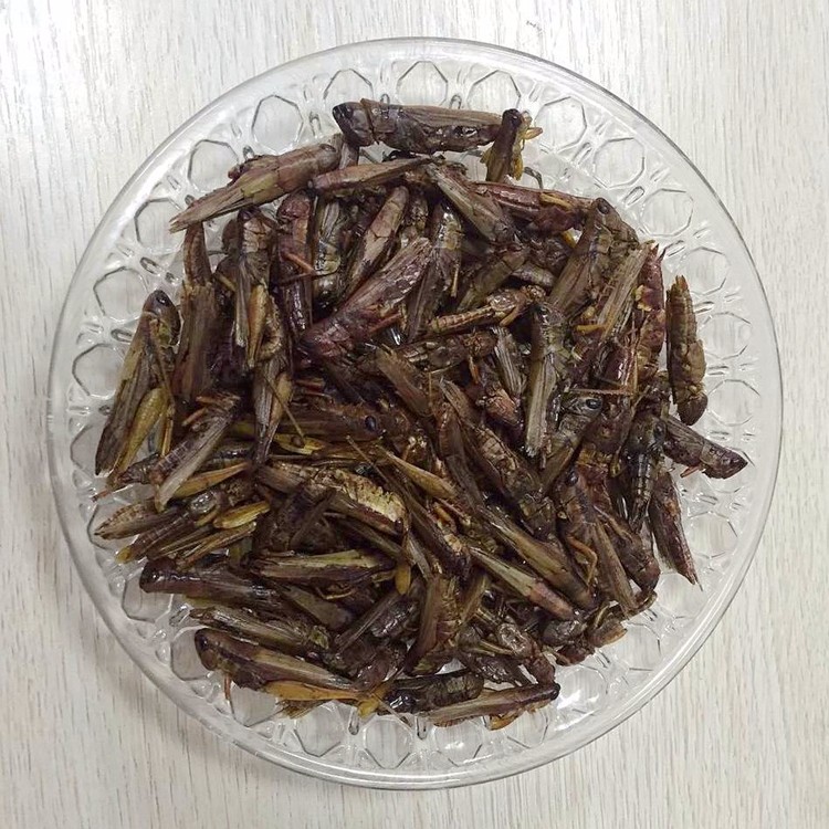 Dried locust .jpg